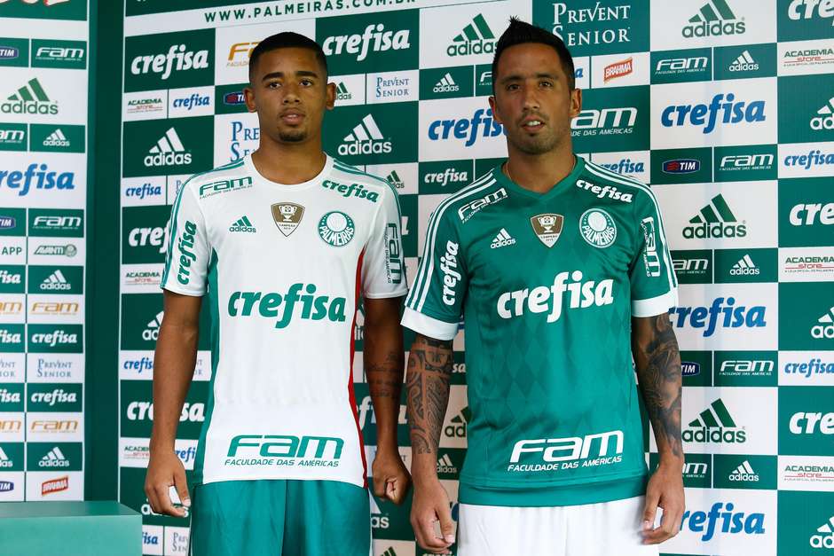 Palmeiras – one fat, happy pig – ANYTHING PALMEIRAS