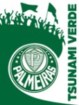 tsunami_verde_logo