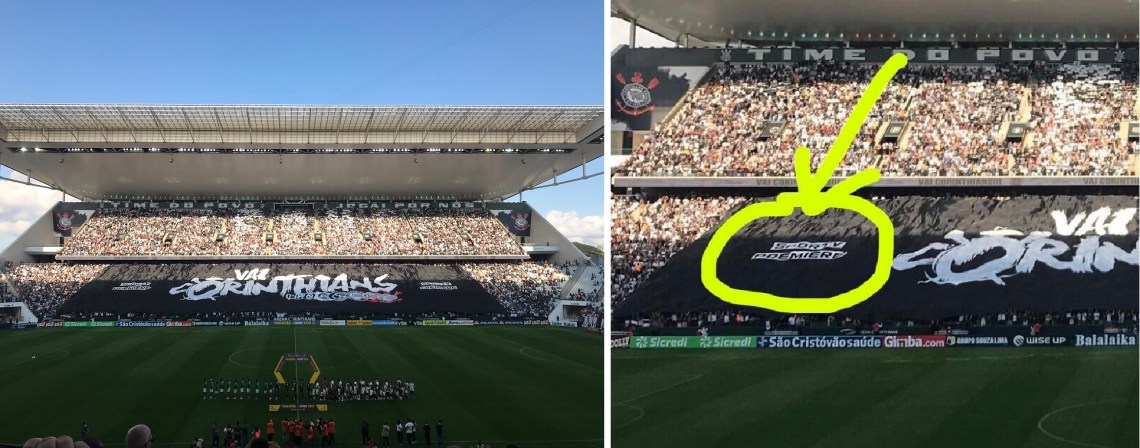 gambá_bandeirão_merged