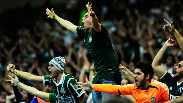torcida_palmeiras_rib-2