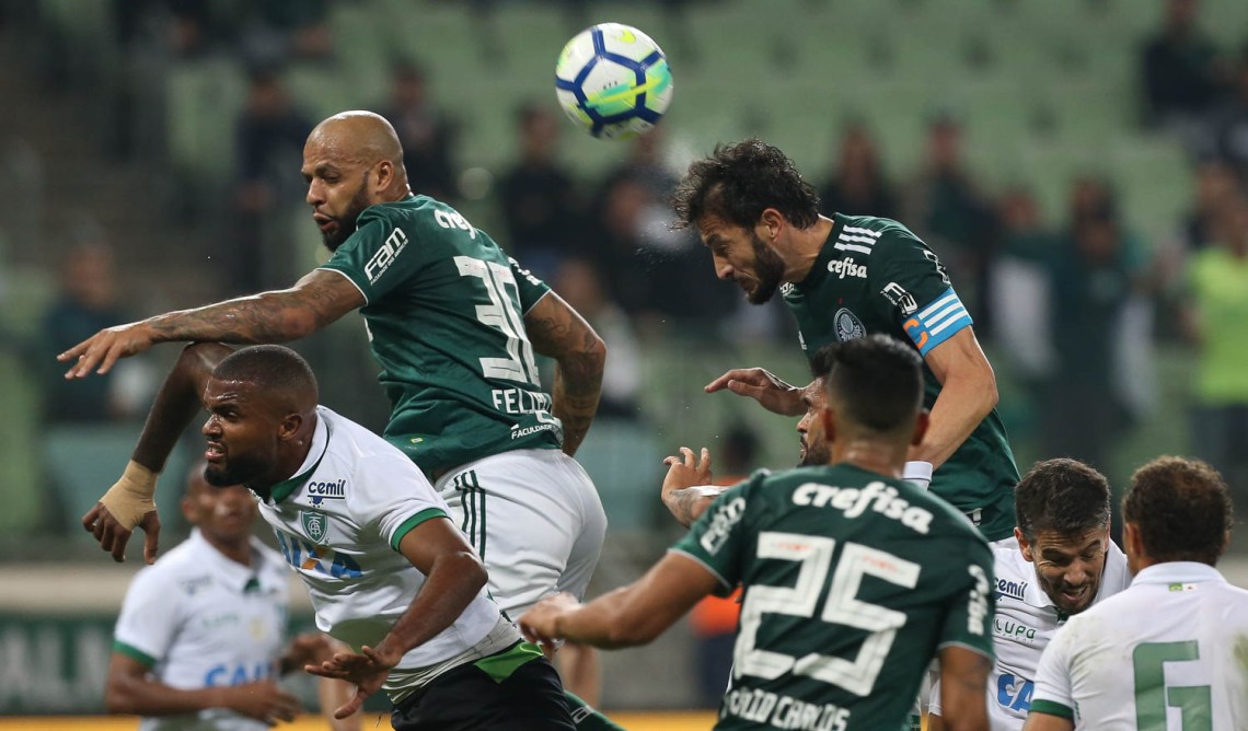 41593280484_192c17d350_o