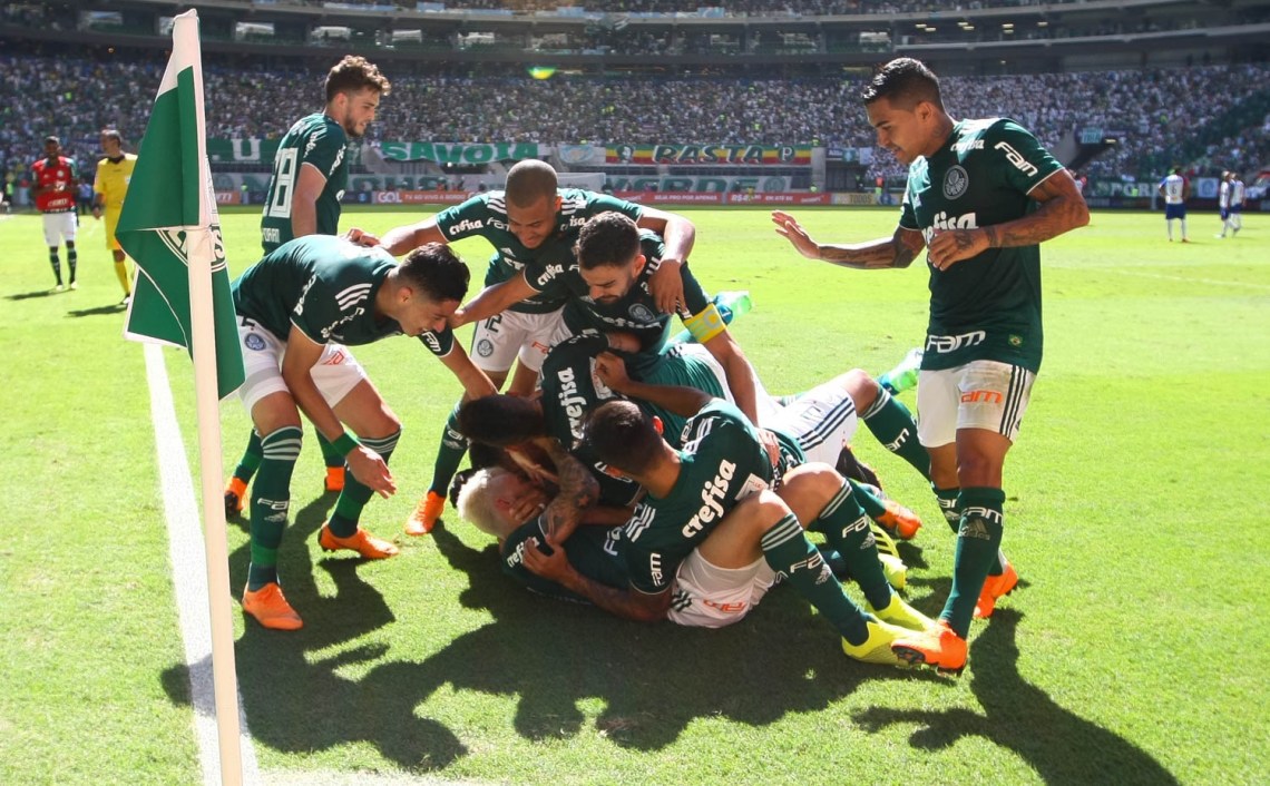 43669680312_ecf1735282_o