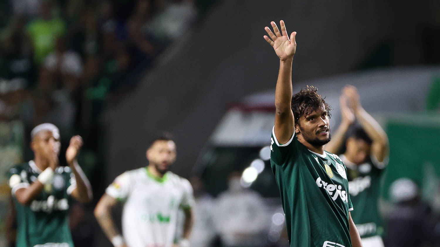 Stats – ANYTHING PALMEIRAS